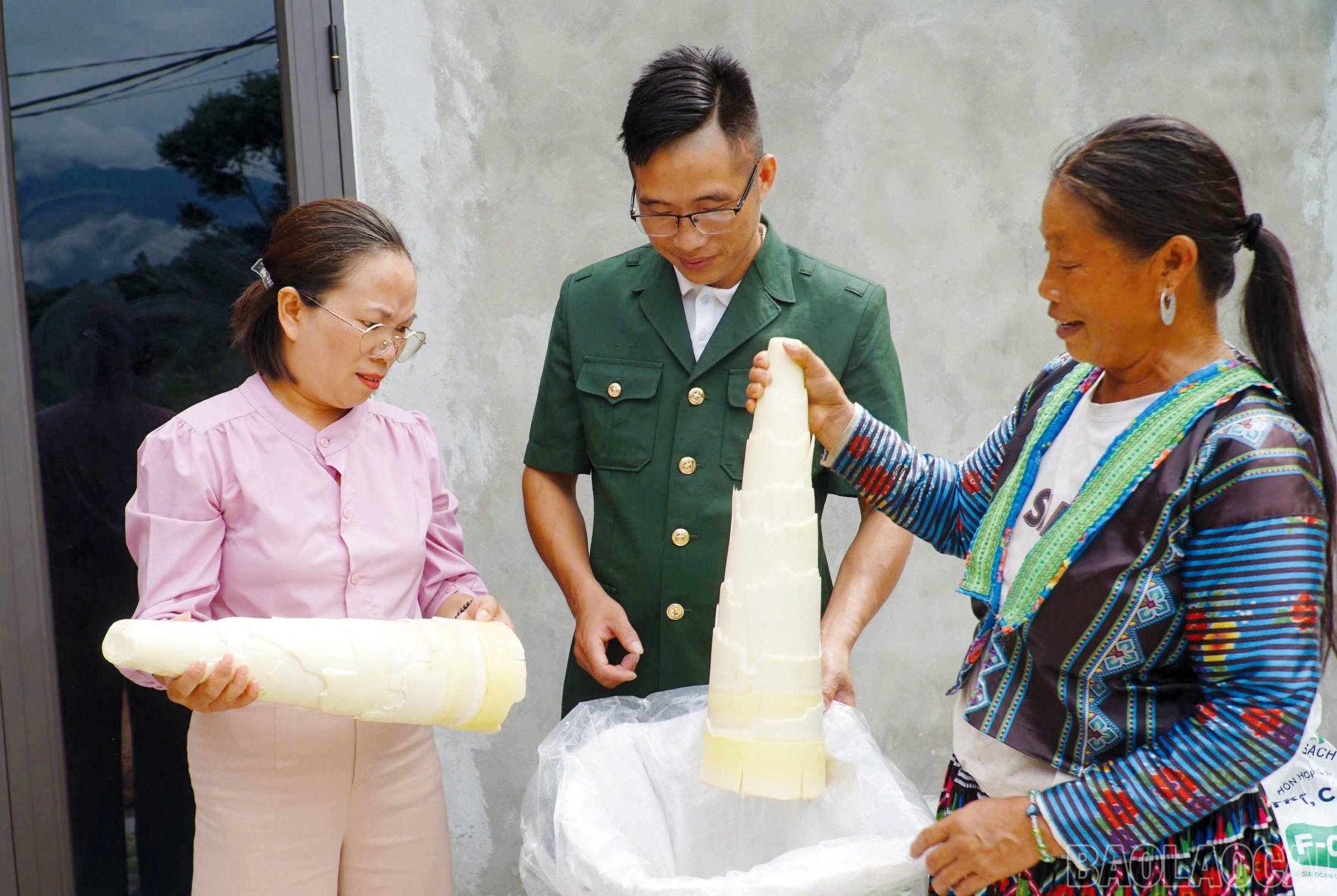 anh tin bai